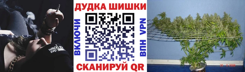 Гашиш Коряжма