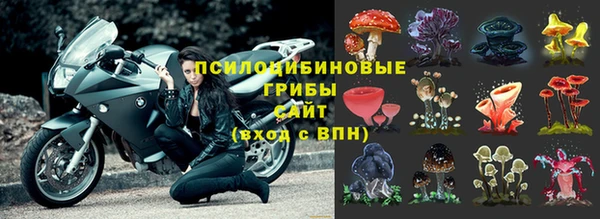 ешки Беломорск