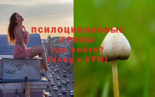 ешки Беломорск